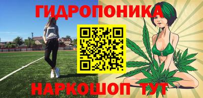 стафф Новодвинск